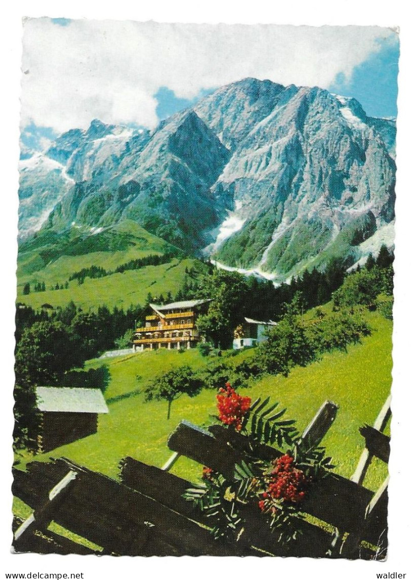 5505  MÜHLBACH  --  ALPENGASTHOF "BERGHEIMAT" - Mühlbach Am Hochkönig