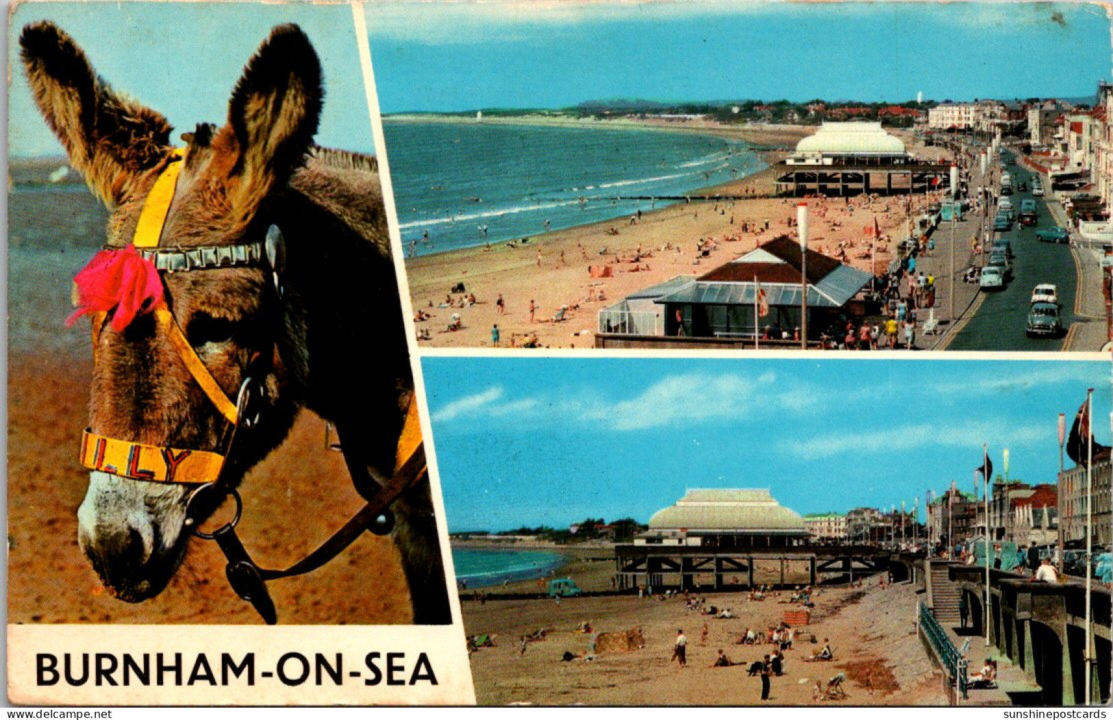 England Burnham On Sea Multi View Beach Scenes And Donkey  - Buckinghamshire