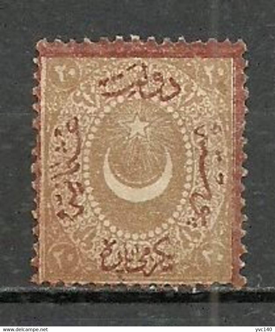 Turkey; 1868 Duloz Due Stamp With Border&Overprint In Brick 20 P. - Ungebraucht