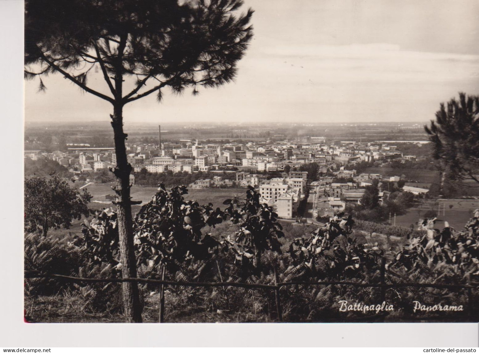 BATTIPAGLIA  SALERNO  PANORAMA  VG  1957 - Battipaglia