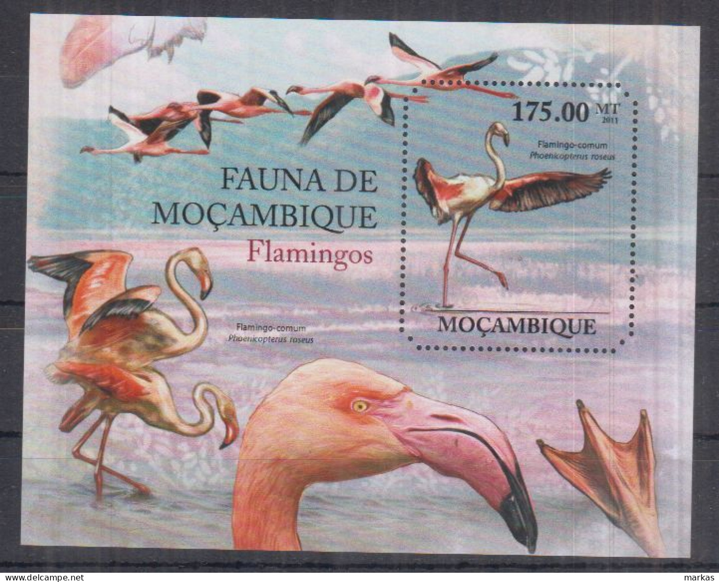 J13. Mozambique MNH 2011 Fauna - Birds - Flamingos - Flamingo's