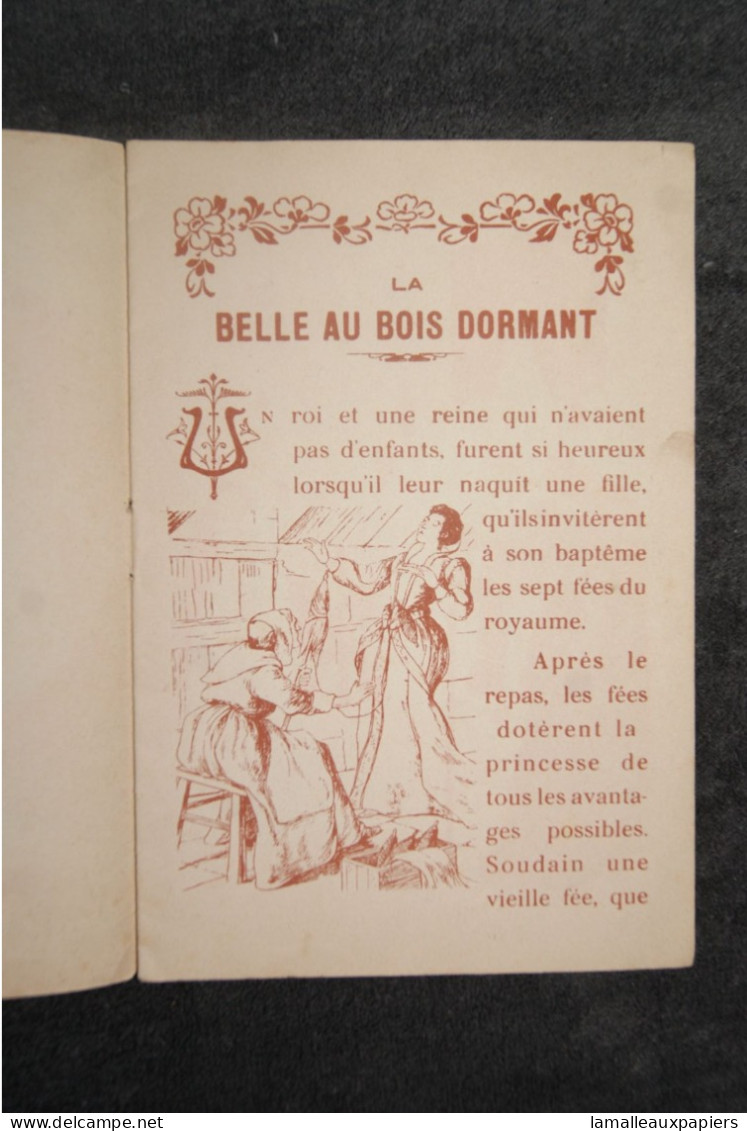 La Belle Au Bois Dormant (Petite Série Des Contes De Fées) - Cuentos