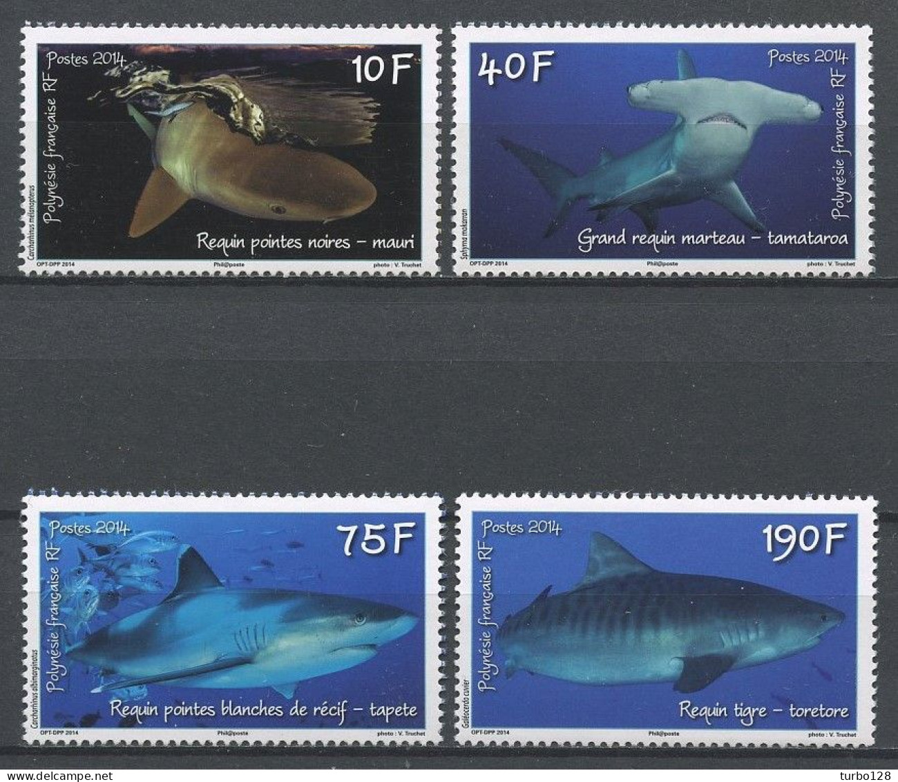 POLYNESIE 2014 N° 1065/1068 ** Neufs MNH Superbes Faune Marine Requins Tigre Poissons Fishes Animaux - Neufs