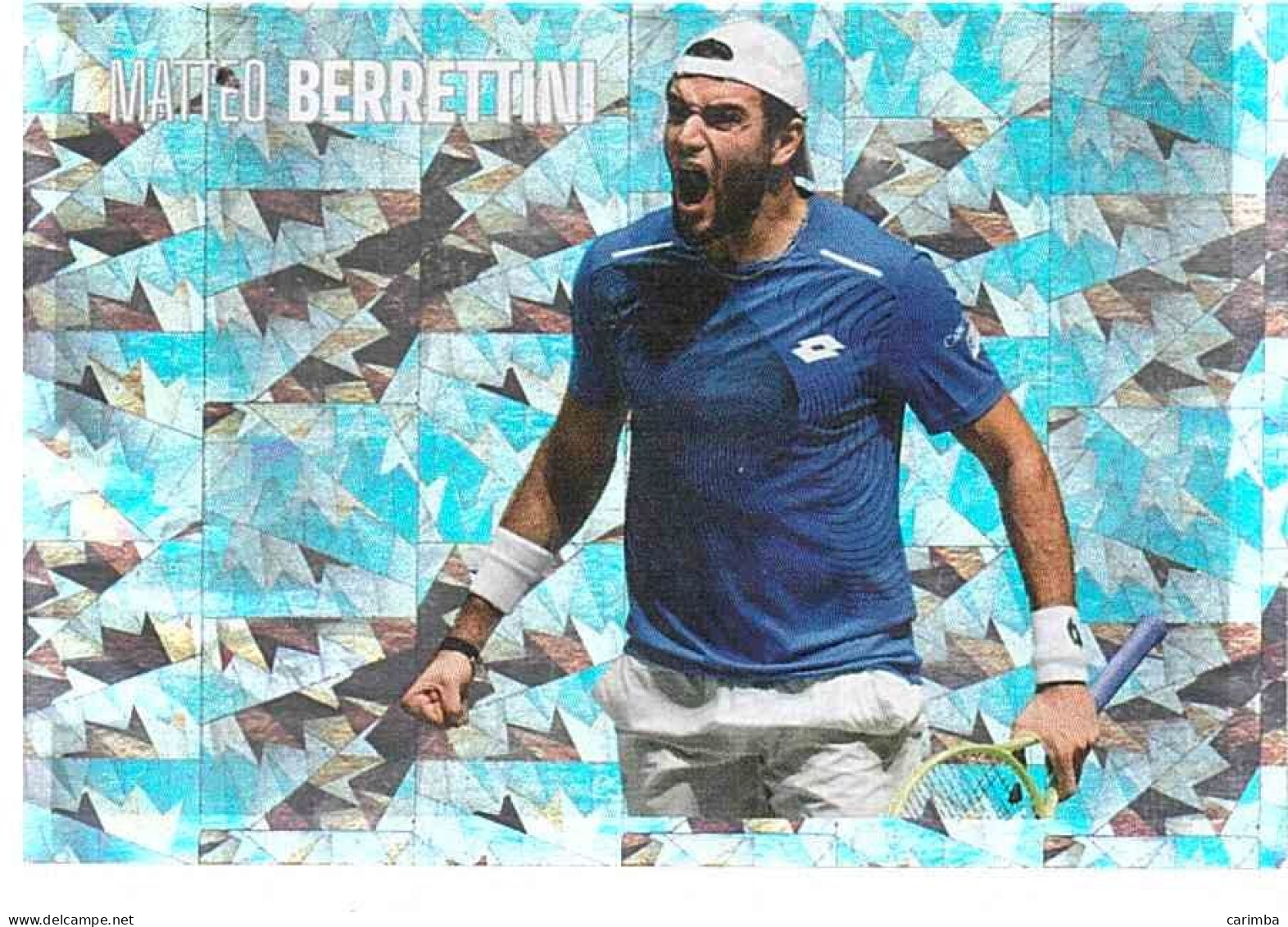 MATTEO BERRETTINI - Tarjetas