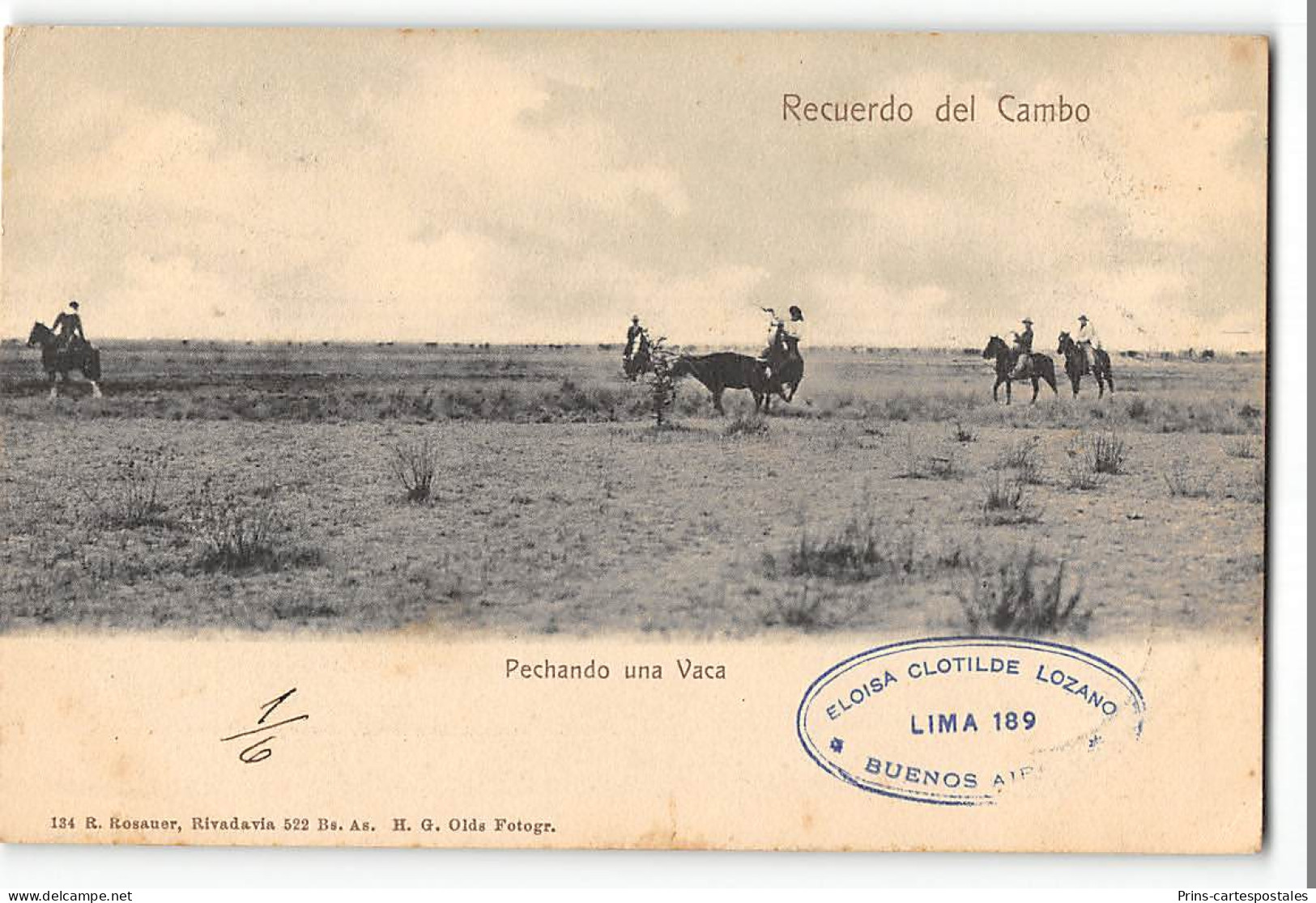 CPA Argentine Buenos Aires Recuerdo Del Cambo - Argentinië