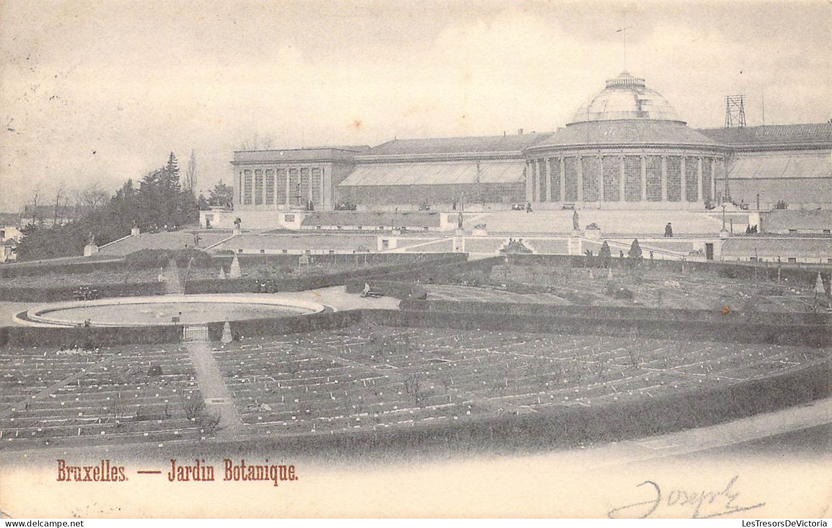 BELGIQUE - Bruxelles - Jardin Botanique - Carte Postale Ancienne - Foreste, Parchi, Giardini