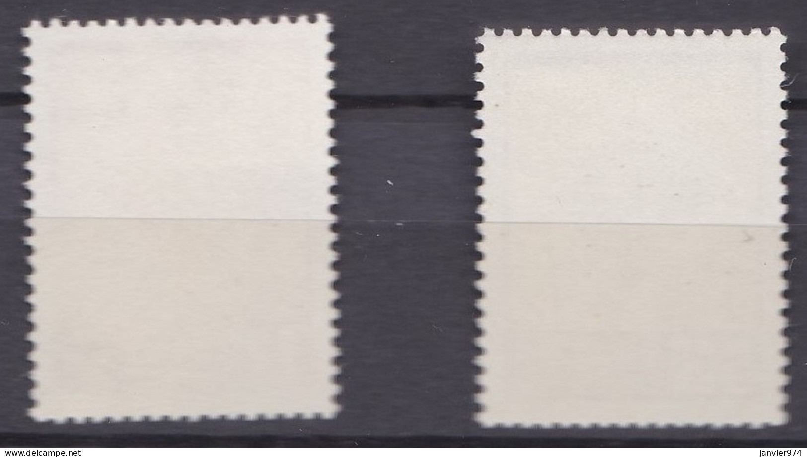 1976 . Année Du Serpent La Série Complète 1168 à 1169, 2 Timbres Neufs , Scan Recto Verso - Unused Stamps