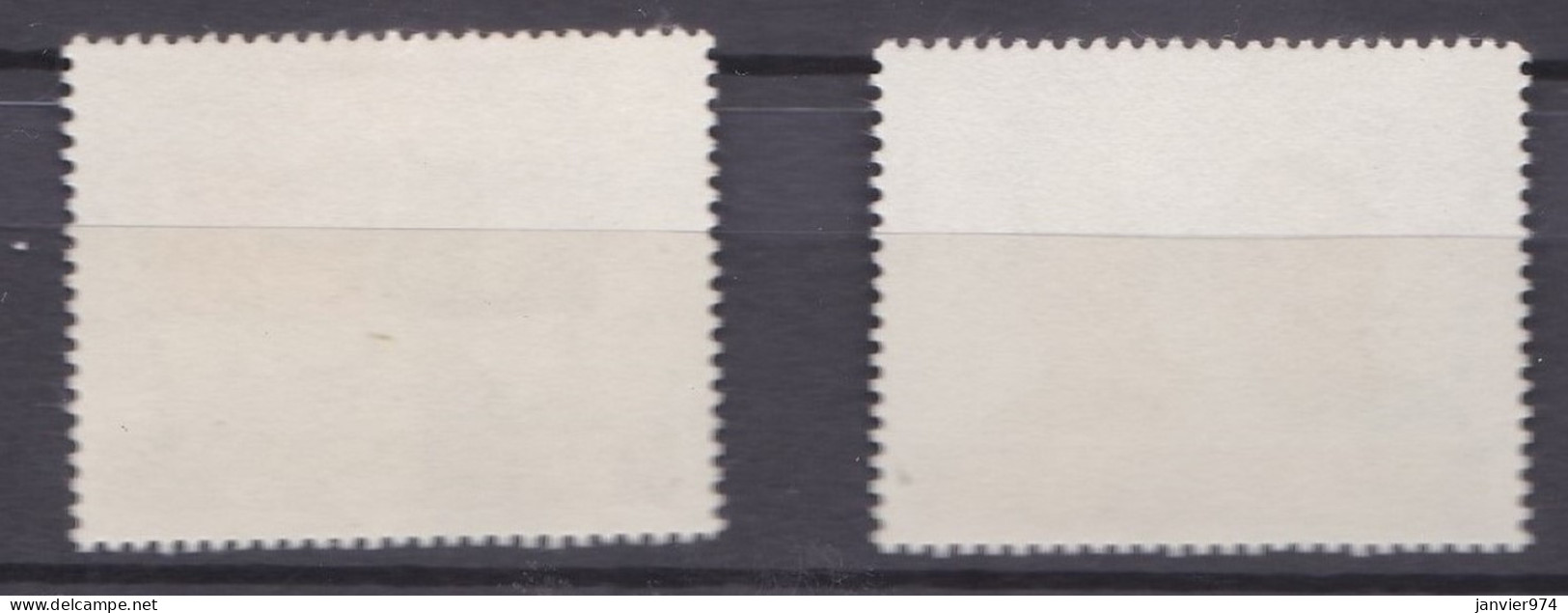 1976  Congrès National Du Kuomintang, La Série Complète 1166 à 1167, 2 Timbres Neufs , Scan Recto Verso - Nuovi