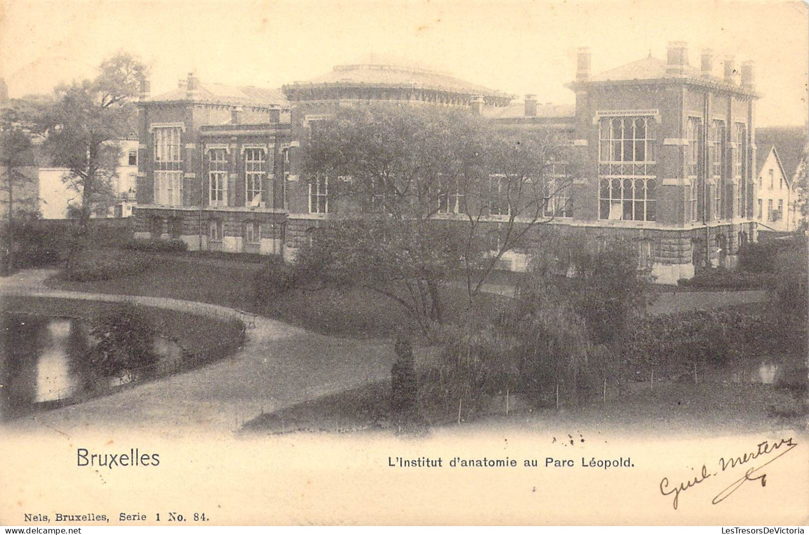 BELGIQUE - Bruxelles - L'Institut D'anatomie Au Parc Léopold - Carte Postale Ancienne - Bossen, Parken, Tuinen