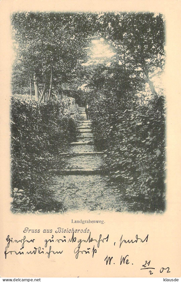 Bleicherode - Landgrabenweg Gel.1902 AKS - Bleicherode