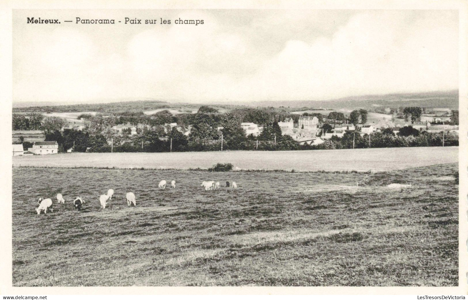 BELGIQUE - Melreux - Panorama - Paix Sur Les Champs - Moutons - Village - Carte Postale Ancienne - Hotton