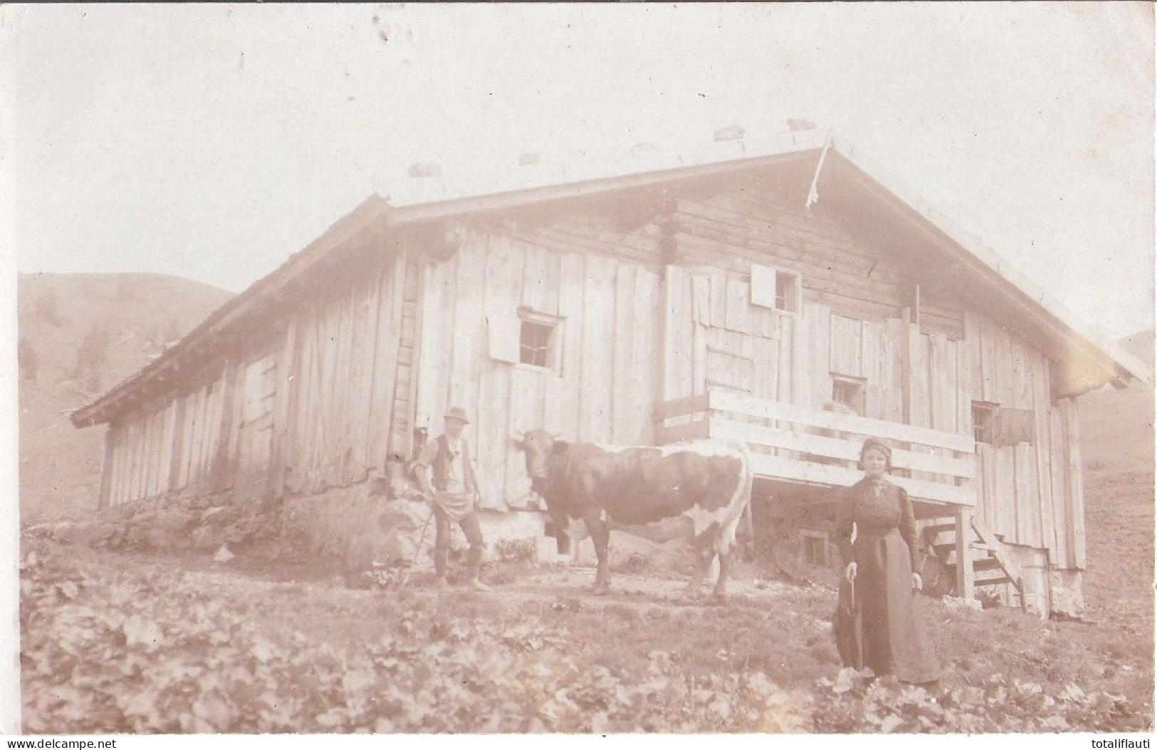 LÄMMERBICHL Hütte MAYRHOFEN Tirol Original Private Fotokarte Mit Almbauer Kuh Und Sommergast 28.12.191... Gelaufen - St. Johann In Tirol