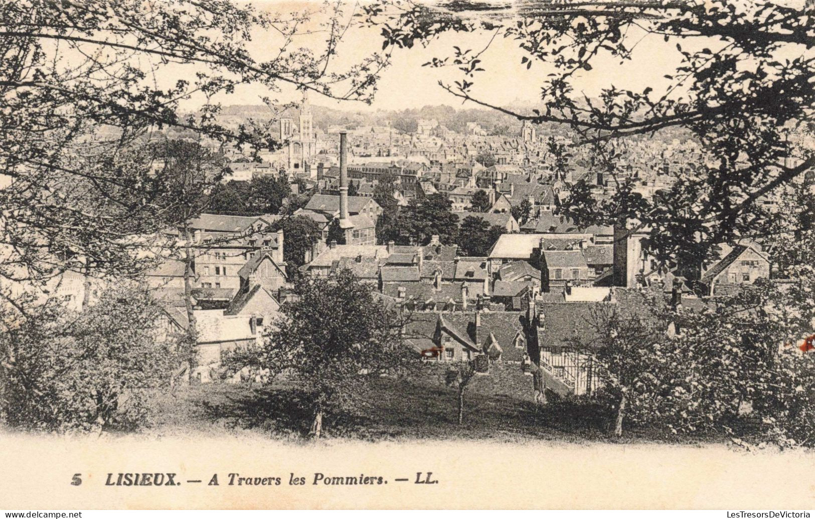 FRANCE - LISIEUX - A Travers Les Pommiers - LL. - Ville - Calvados - Carte Postale Ancienne - Lisieux