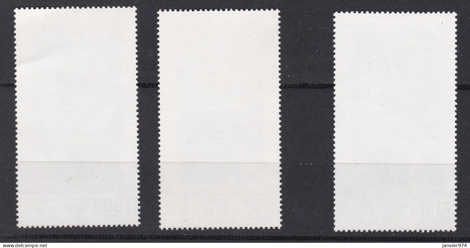 1970 , Activités Durant Les 12 Mois, Série Complètes , 3 Timbres Neufs , Voir Scan Recto Verso - Neufs