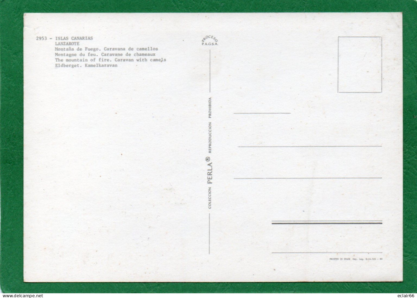 Lanzarote -MONTANAS Del FUEGO Animation Caravane De Chameaux CPM Edit PERLA N° 2953 Impeccable - Lanzarote