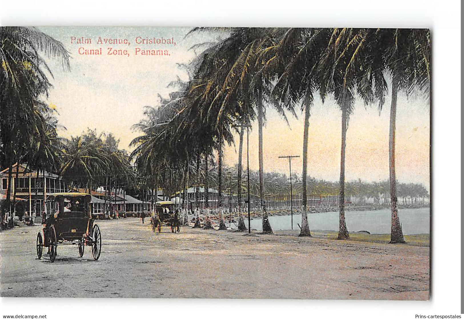 CPA Panama Palm Avenue, Cristobal, Canal Zone  - Panama