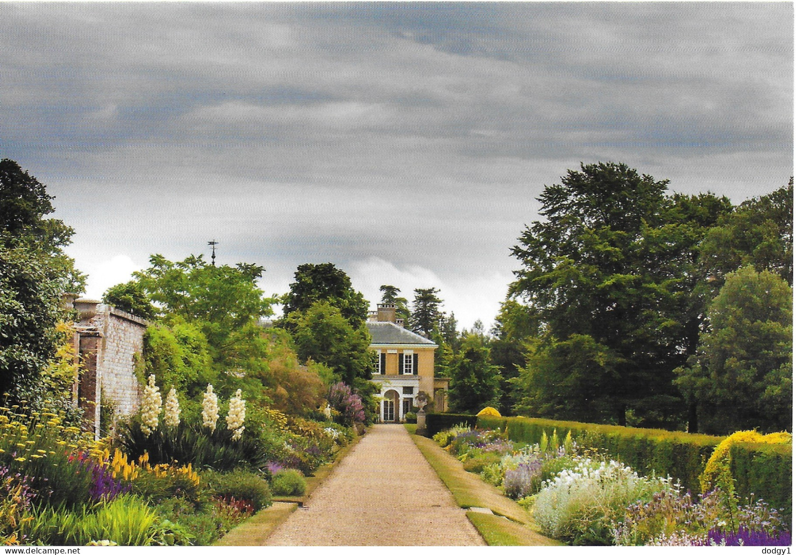 HERBACEOUS BORDER, POLESDEN LACEY, SURREY, ENGLAND. UNUSED POSTCARD   Ph8 - Surrey