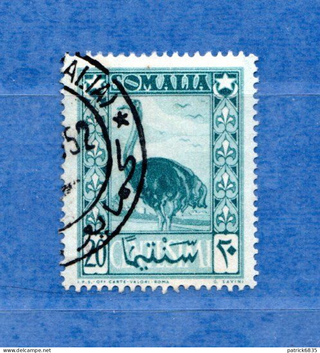 (Us8) SOMALIA - AFIS ° 1950 - PITTORICA - Unif. 2. - Somalia (AFIS)