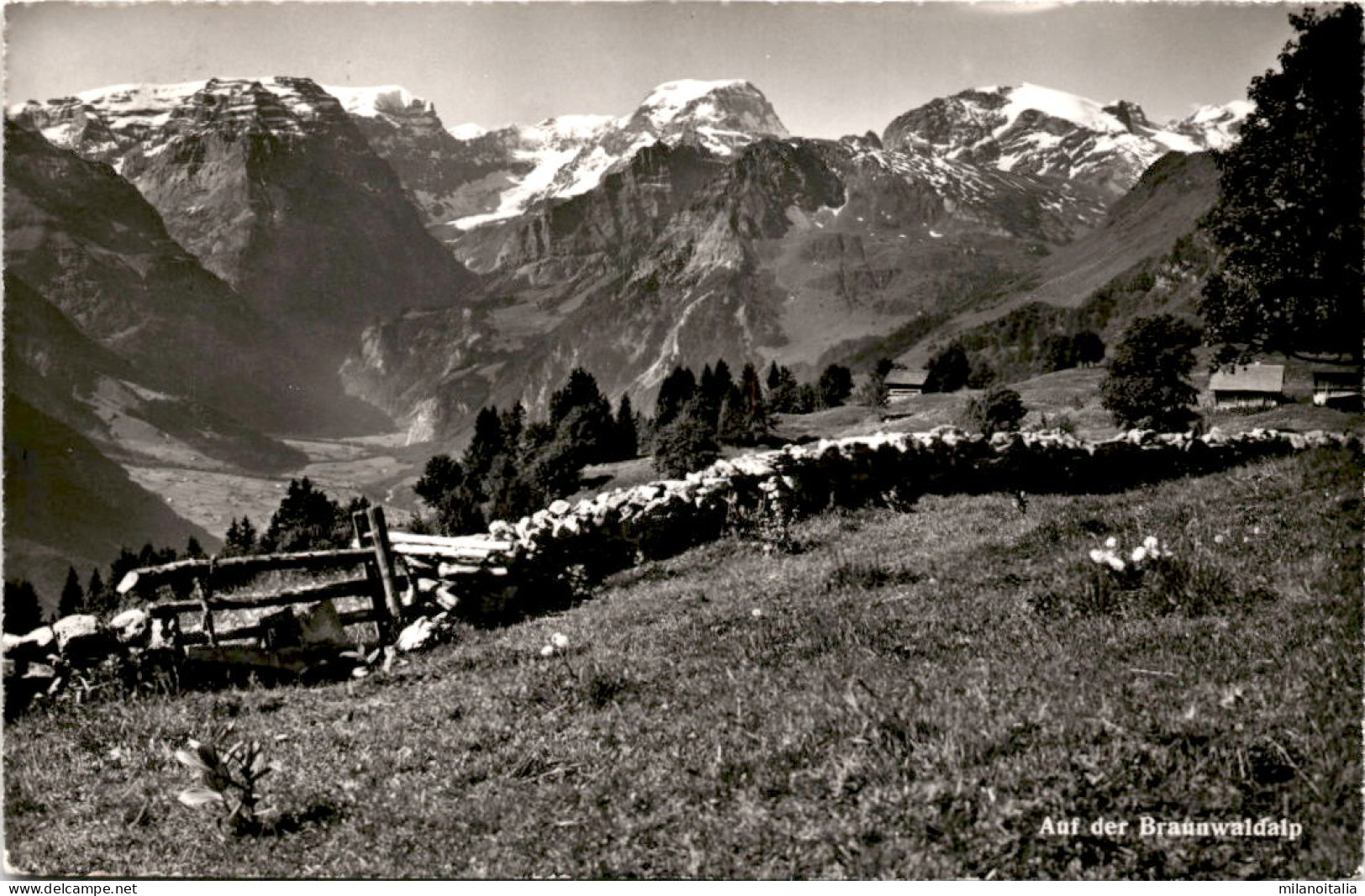 Auf Der Braunwaldalp (34002) * 30. 8. 1960 - Braunwald