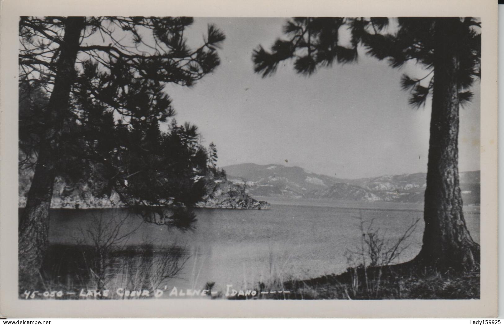 Lake Cœur D'Alene Idaho USA. Real Photo B&W RPPC: CEK 1930-1950 ,big Trees (Pines)  Snowy Mountain Frames - Coeur D'Alene