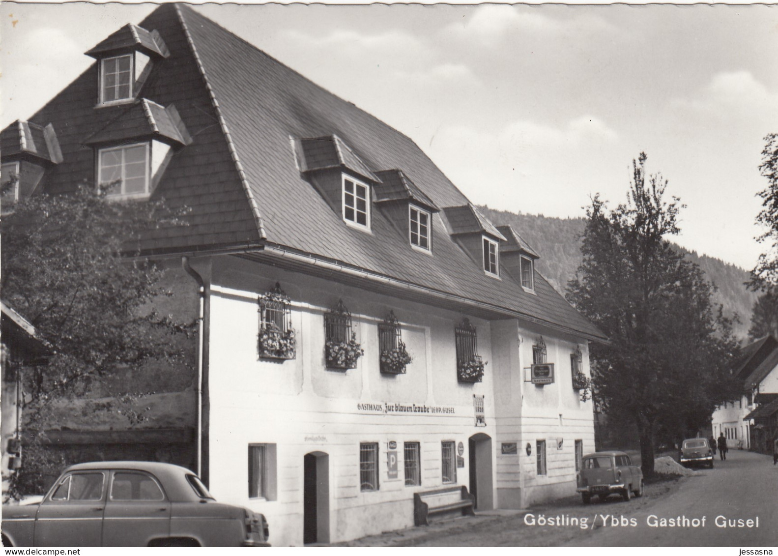 AK - GÖSTLING An Der Ybbs - Gasthof Zur Blauen Traube (Leopold Gusel) 1950 - Scheibbs