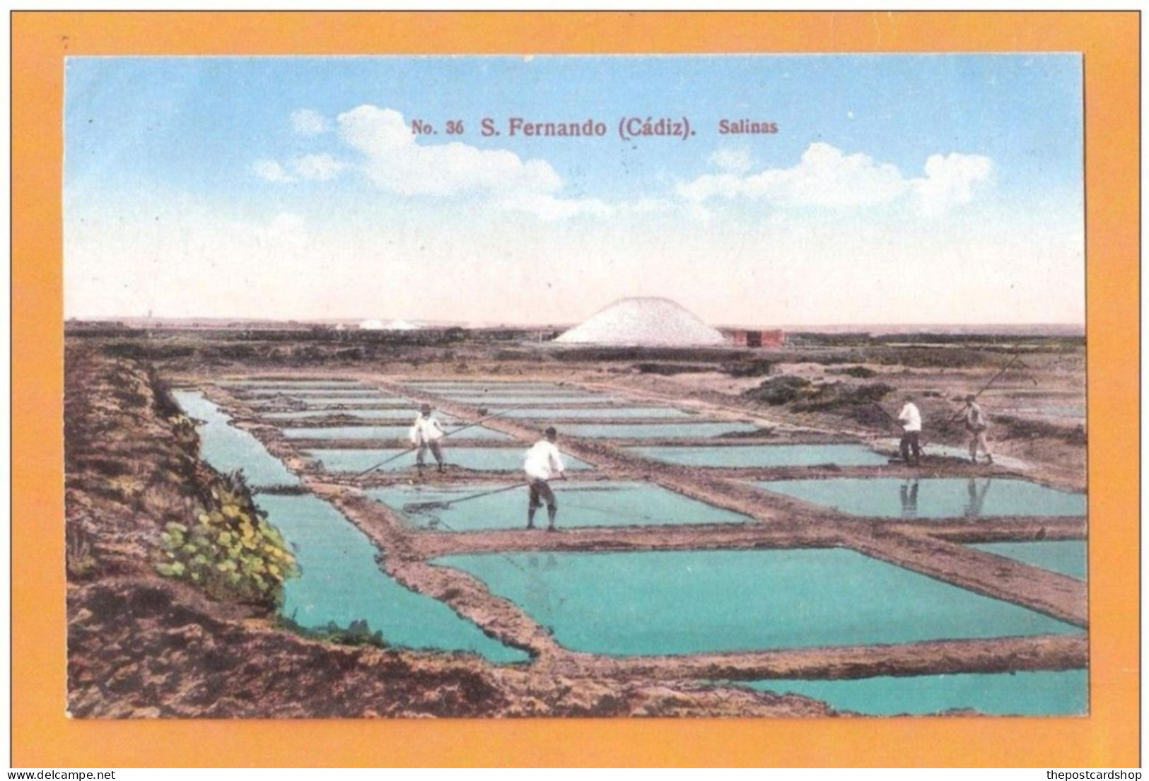 SPAIN ESPAGNE No.36 S Fernando CADIZ ESPAÑA Cadiz. Salinas. -- Purger & Co., Munchen Salt Industry - Cádiz