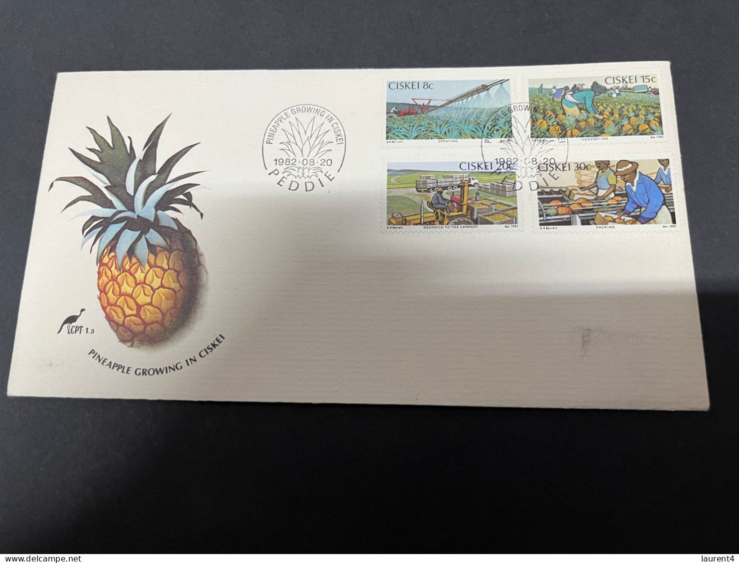 (4 R 49) Ciskei FDC Cover - 1982 - Pineapples Industry / Ananas - Alimentation