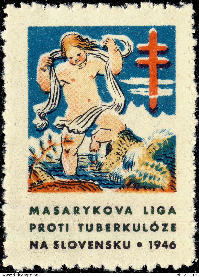 CZECHOSLOVAKIA - 1946 CHRISTMAS SEAL For The Masaryk League Against Tuberculosis In Slovakia (Ref.048) - Enfermedades