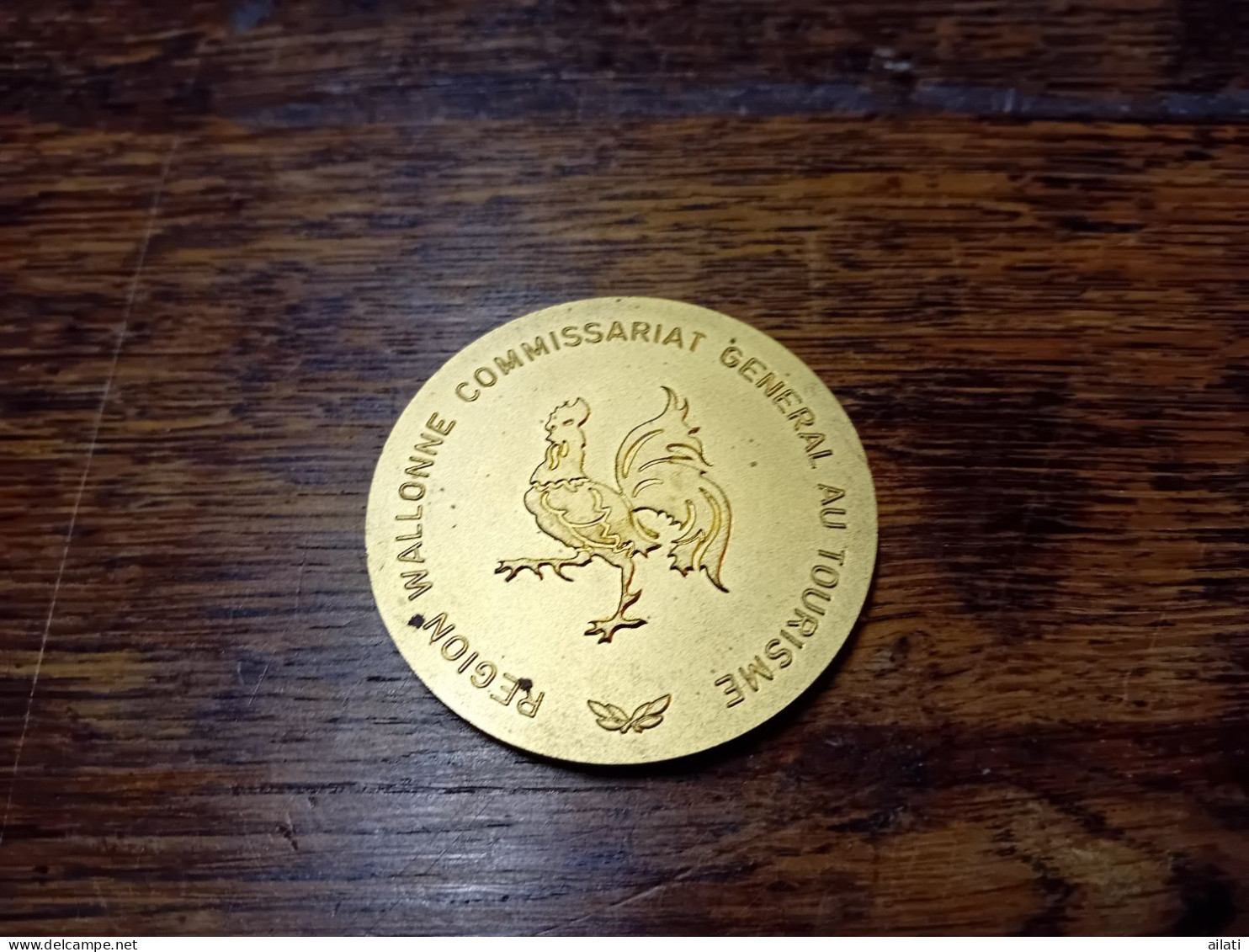Médaille De La Région Wallonne - Professionnels / De Société
