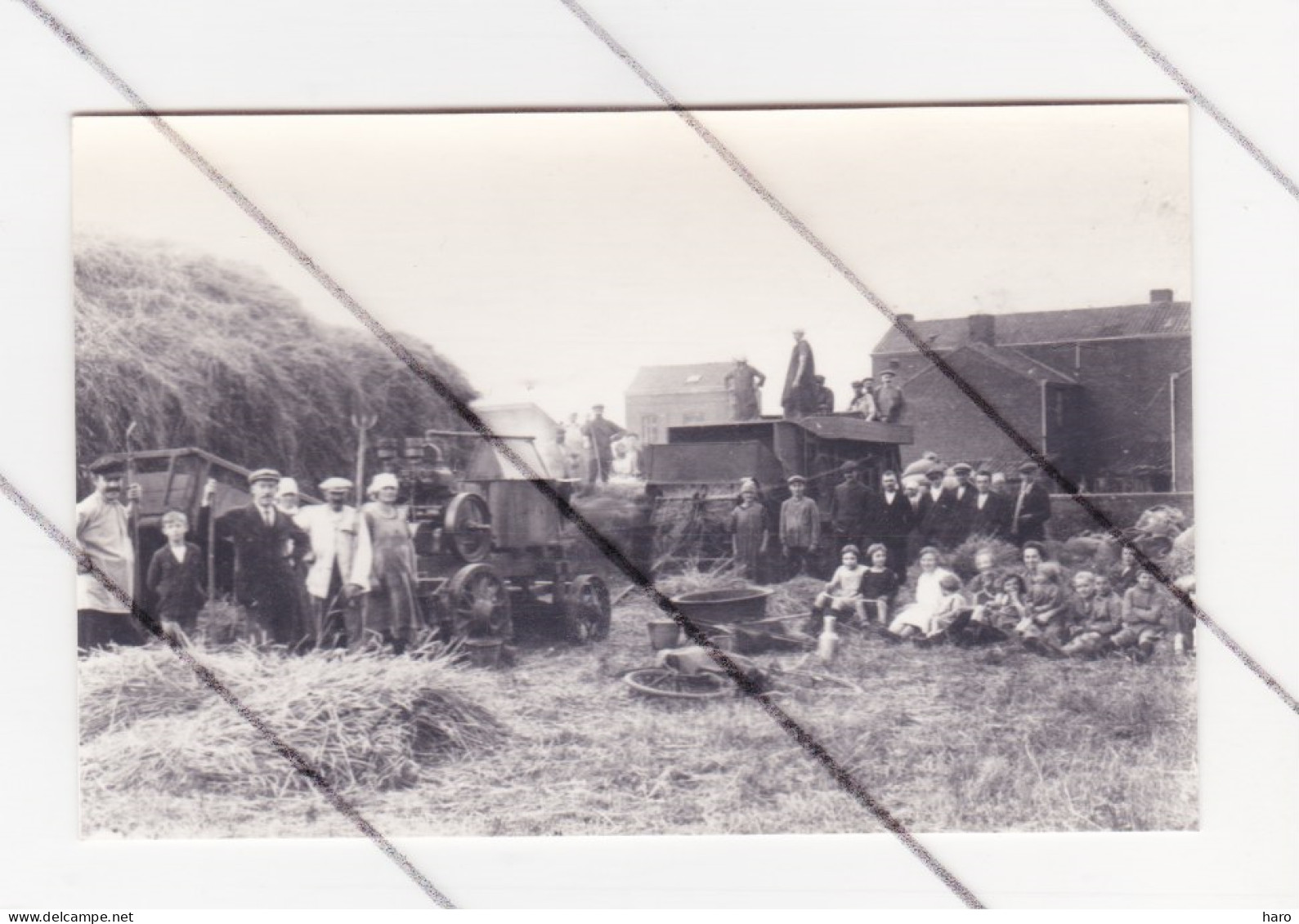 REPRODUCTION D'une Photo Carte - Fenaison, Battage, Agriculture,... à HERSTAL ( Ile Monsin En 1923 ( TOP ) B342 - Herstal