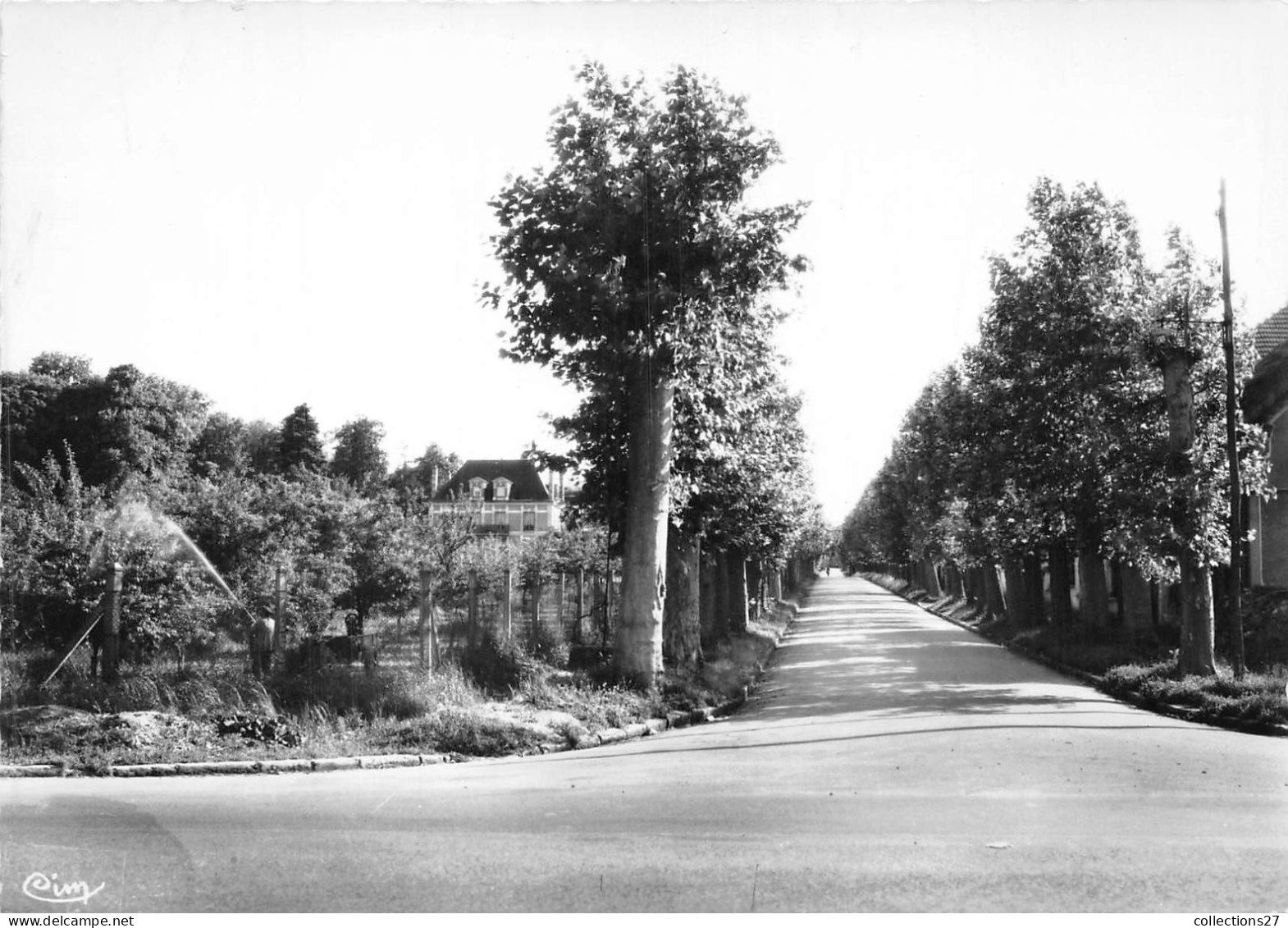 89-CHAMPIGNY-SUR-YONNE- L'ALLEE DU CHATEAU VUE PRISE DE LA ROUTE NATIONALE N° 5 - Champigny