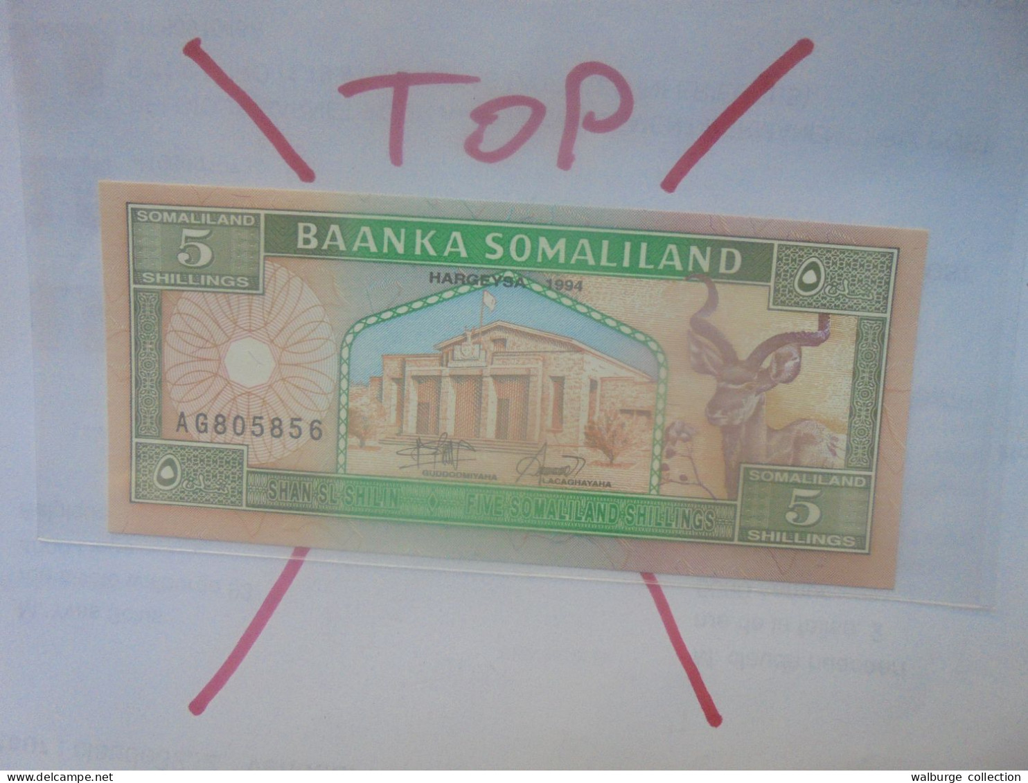 SOMALILAND 5 SHILLINGS 1994 Neuf (B.29) - Somalia