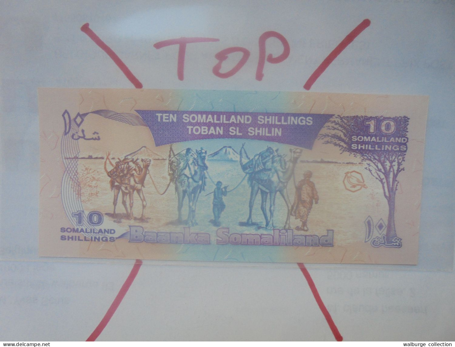 SOMALILAND 10 SHILLINGS 1994 Neuf (B.29) - Somalië