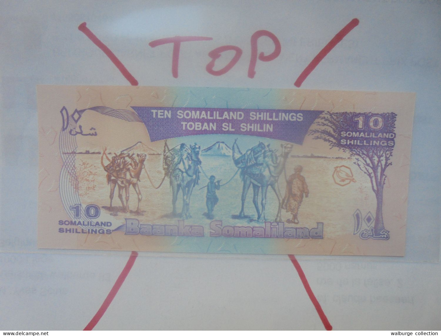 SOMALILAND 10 SHILLINGS 1994 Neuf (B.29) - Somalia
