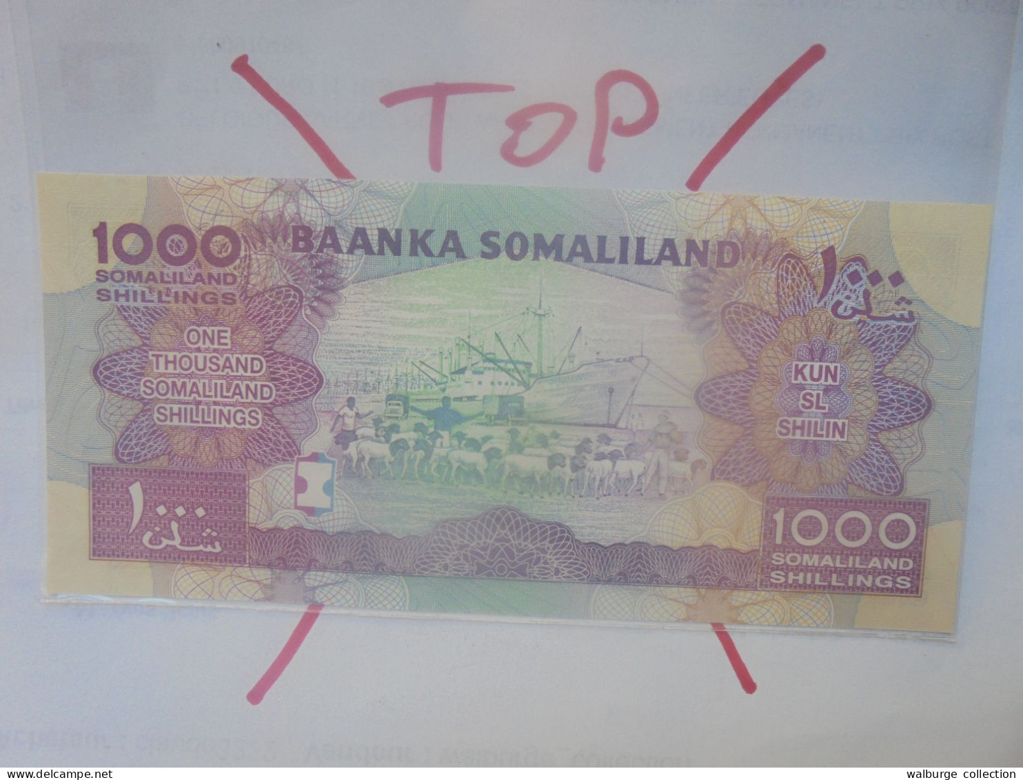 SOMALILAND 1000 SHILLINGS 2011 Neuf (B.29) - Somalië