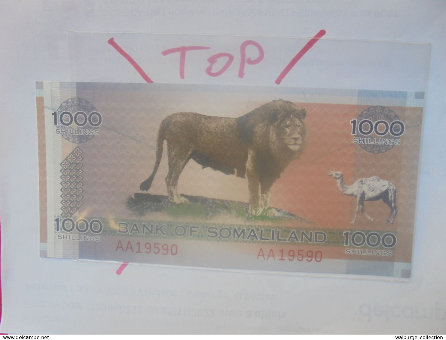 SOMALILAND 1000 SHILLINGS 2006 Neuf (B.29) - Somalie