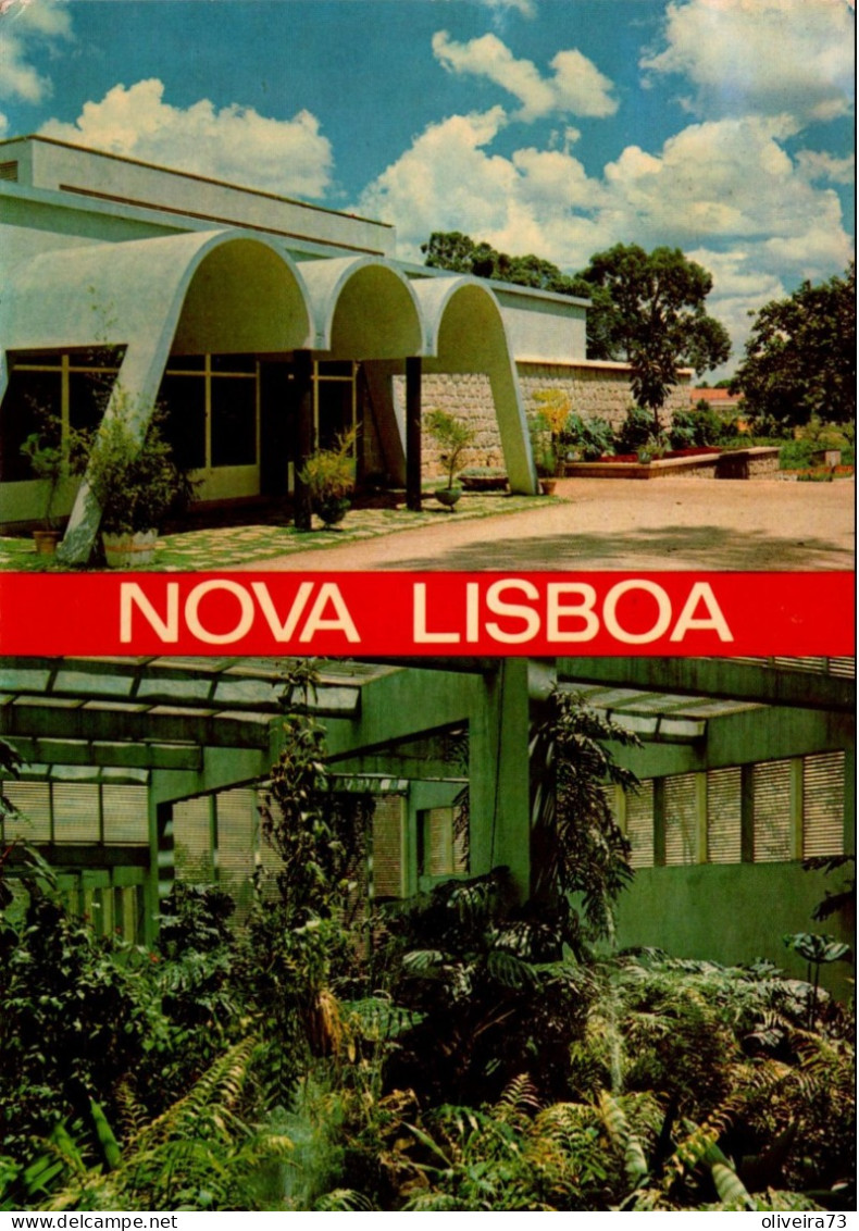 ANGOLA - NOVA LISBOA - Estufa Fria - Angola