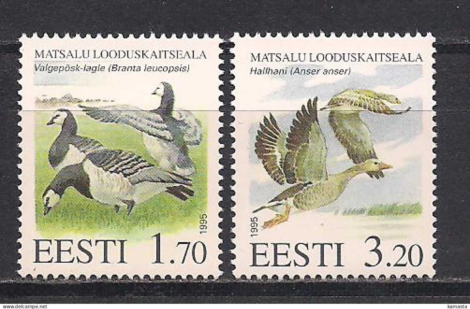 Estonia 1995 Matsalu Wetland Reserve. Mi 245 - 6 - Geese