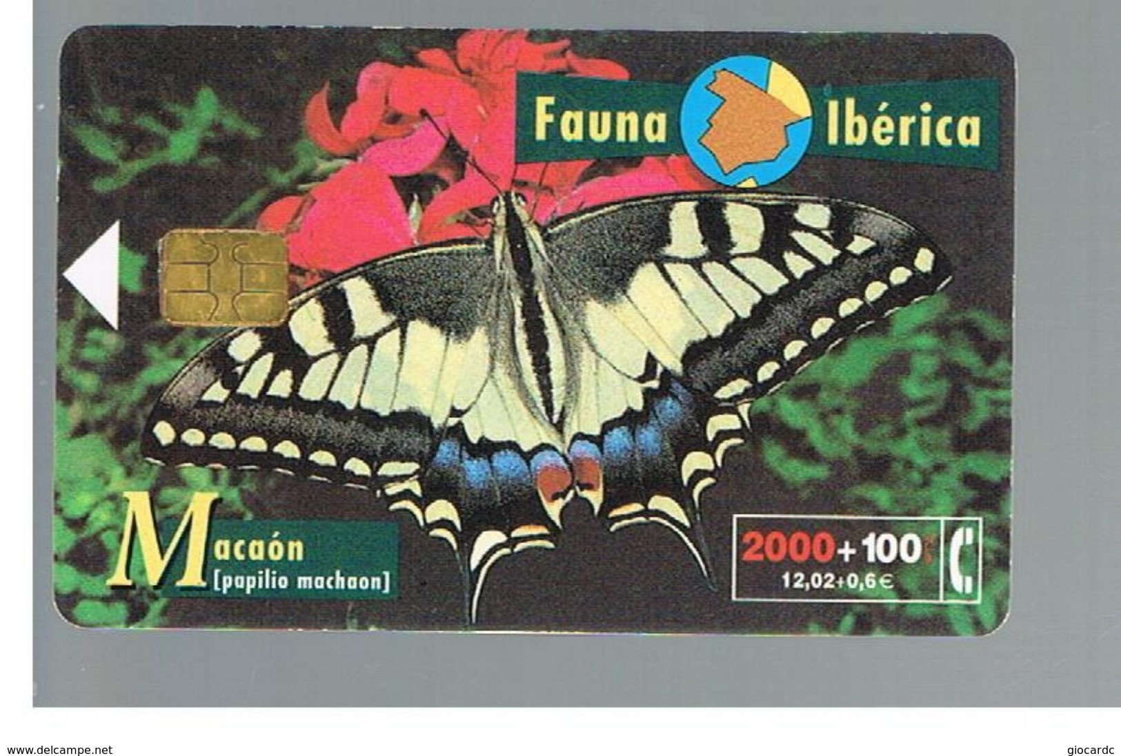 SPAGNA (SPAIN) - TELEFONICA  (CHIP) -  FAUNA IBERICA: PAPILIO MACHAON        - USED - RIF. 10007 BIS - Butterflies