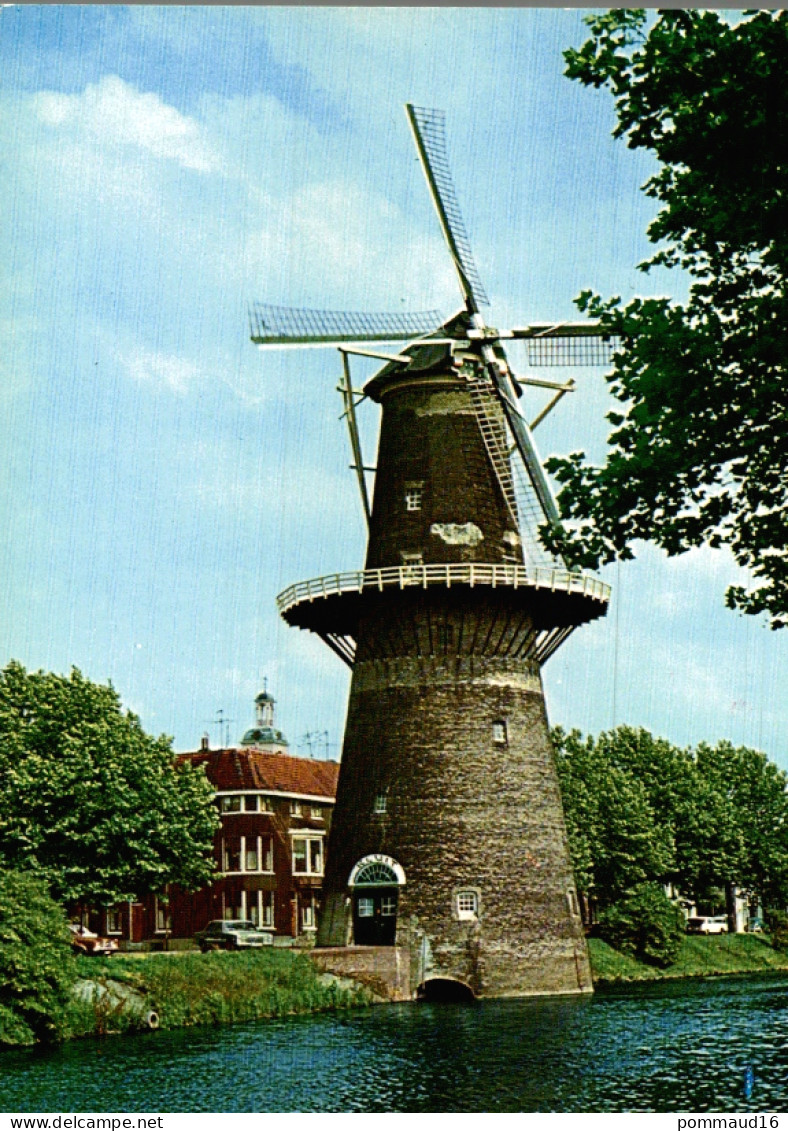 CPM Schiedam De Walvisch Moulin à Blé - Otros & Sin Clasificación