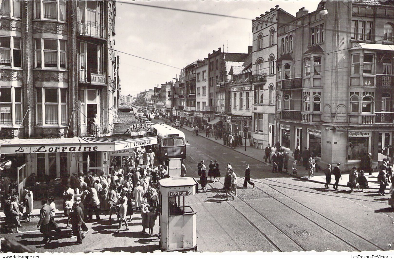 BELGIQUE - La PANNE - Boulevard De Nieuport - Carte Postale Ancienne - De Panne