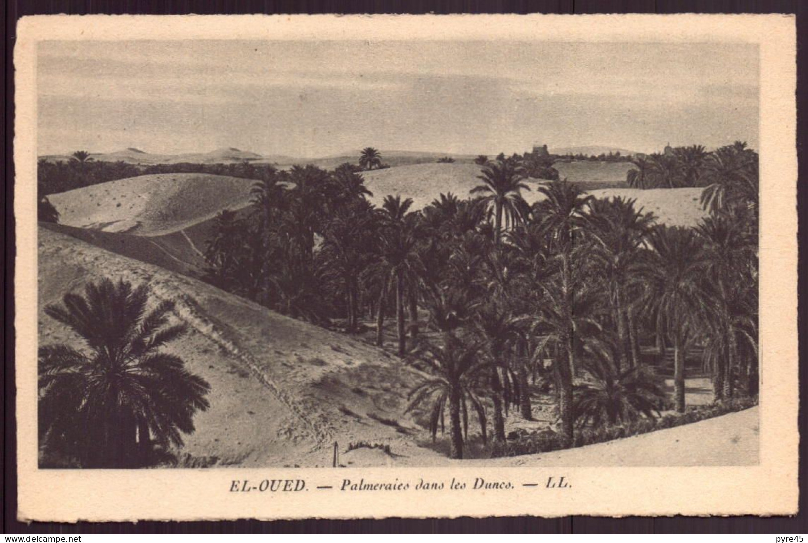ALGERIE EL OUED PALMERAIE DANS LES DUNES - El-Oued