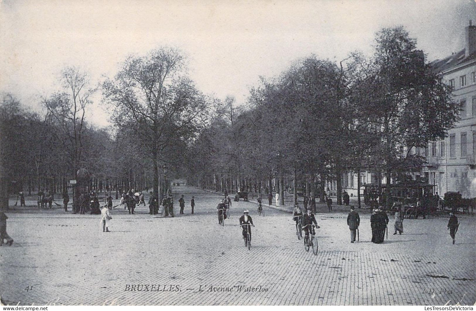 BELGIQUE - BRUXELLES - L'Avenue Waterloo - Carte Postale Ancienne - Sonstige & Ohne Zuordnung