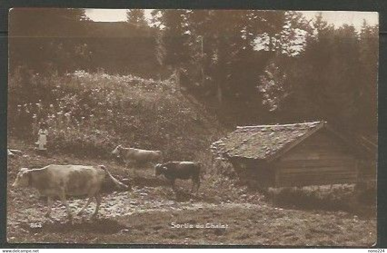 Carte P De 1917 ( Les Bayards / Sortie Du Chalet ) - Les Bayards