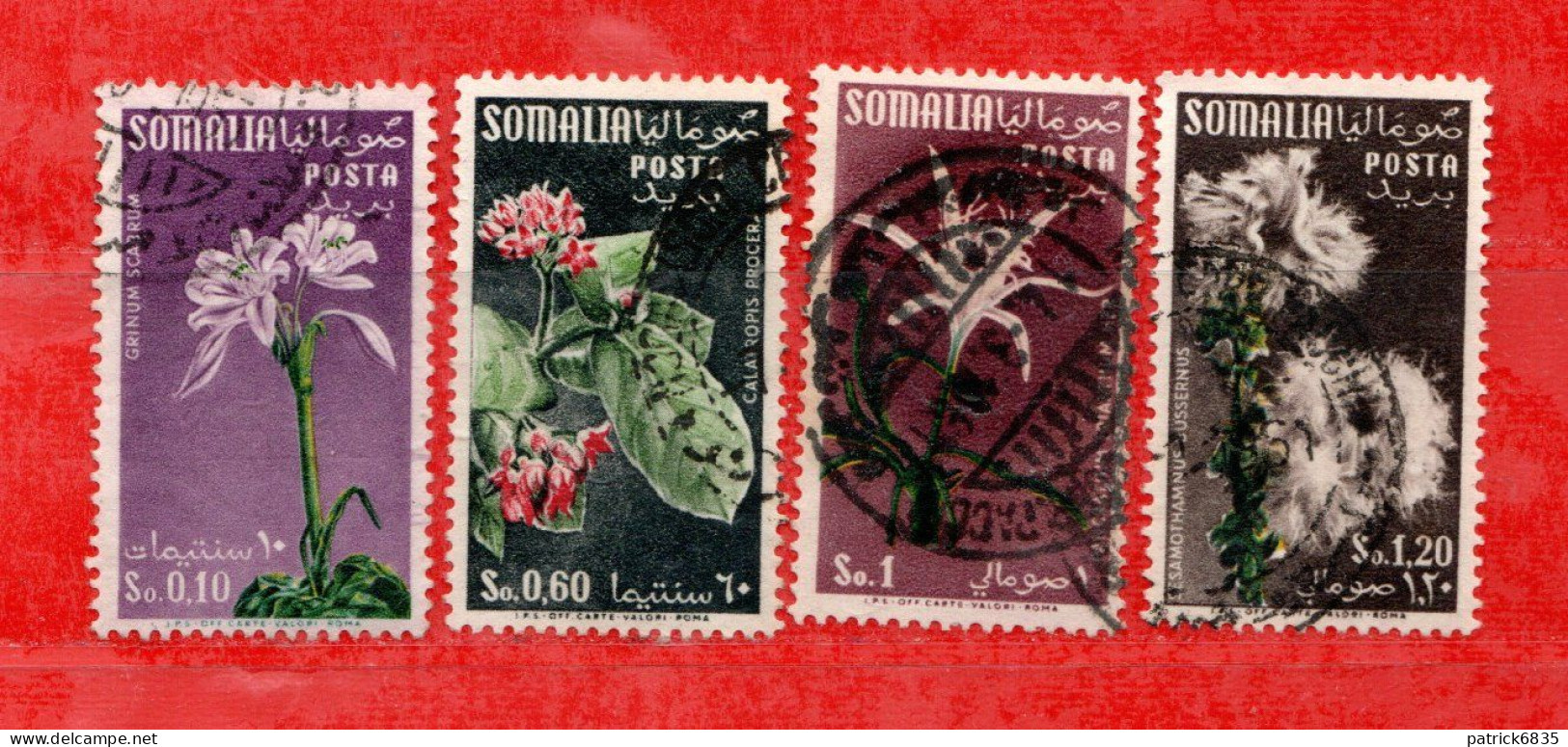 (Us8) SOMALIA - AFIS ° 1955 - FIORI FLOWERS FLEURS. Unif. 29-31-32-33 .  Come Scansione. - Somalia (AFIS)