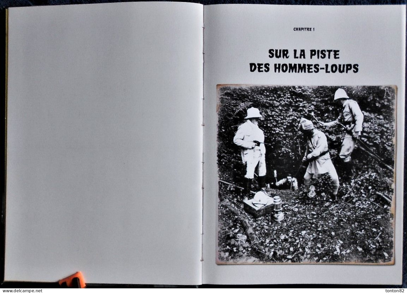 Camille Renversade Et Frédéric Lisak - La Malédiction Des LOUPS - Éditions Petite Plume De Carotte - ( 2012 ) . - Auvergne