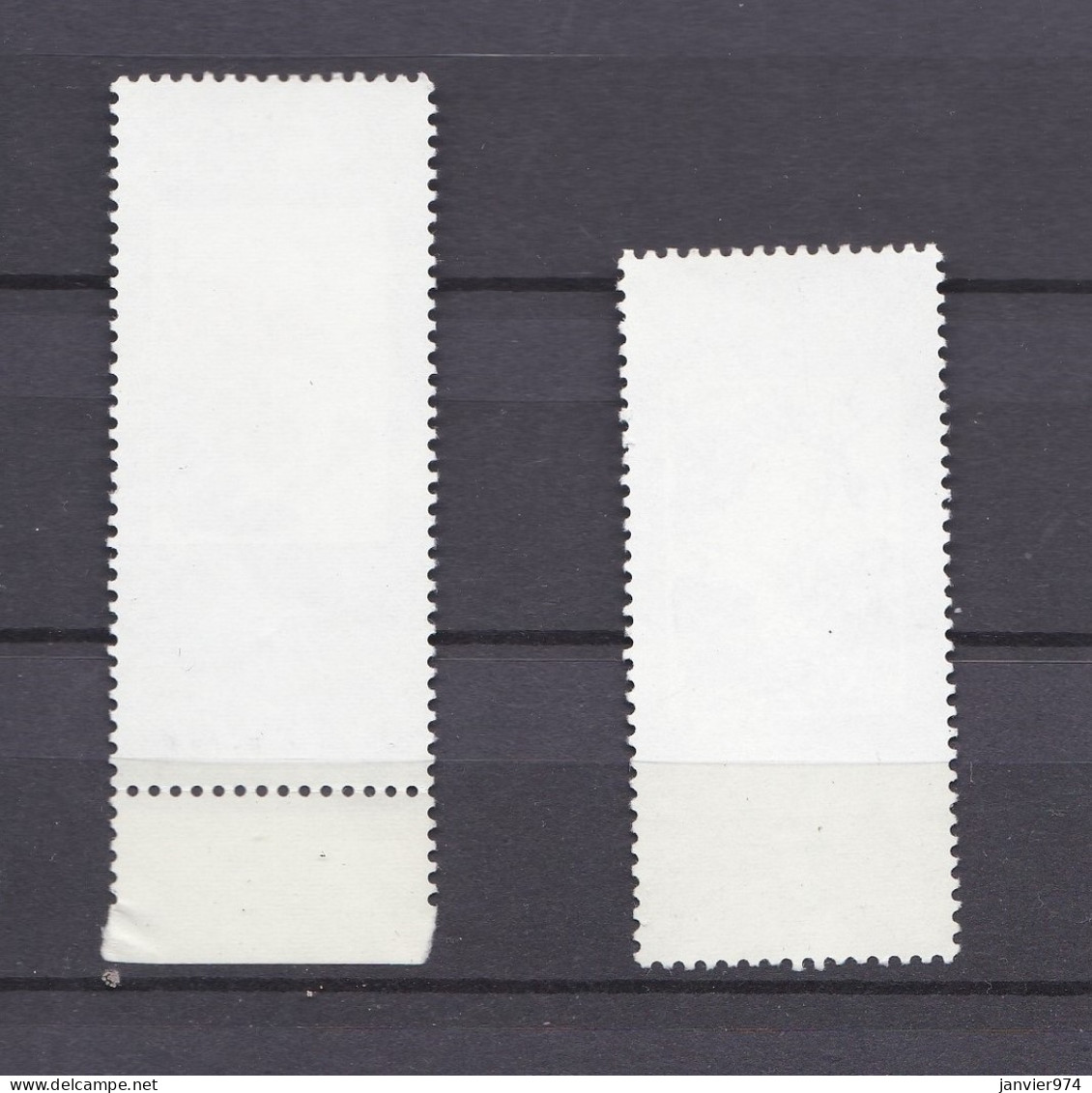 Chine 1982, Fleurs - Relation Entre La Chine Et Le Japon, La Serie Complète 1829 à 1830, 2 Timbres Neufs  - Unused Stamps
