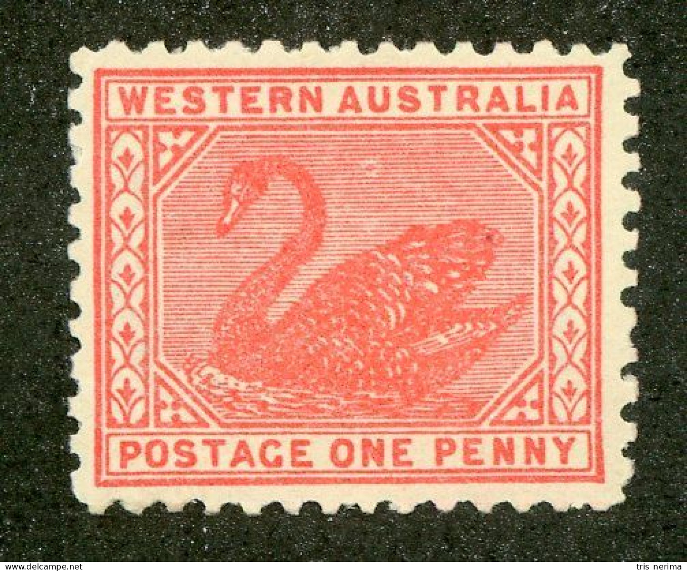 4865 BCx West Aust. 1905 Scott 90e M* (Lower Bids 20% Off) - Ongebruikt