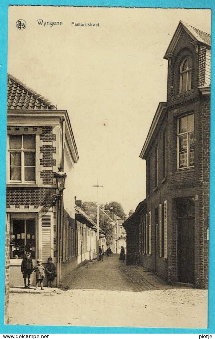 * Wingene - Wyngene (Tielt - West Vlaanderen) * (Nels, Uitgever Drukker Anseeuw) Postorijstraat, Rue Du Presbytère, Old - Wingene