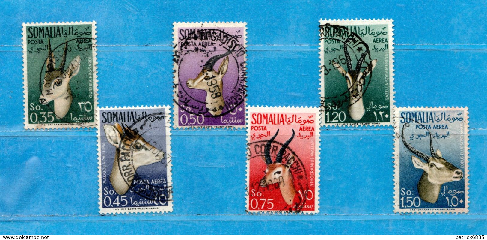 (Us8) SOMALIA - AFIS ° 1955 - ANIMALI -POSTA AEREA. Unif. A 26 / A31 .  Come Scansione. - Somalia (AFIS)